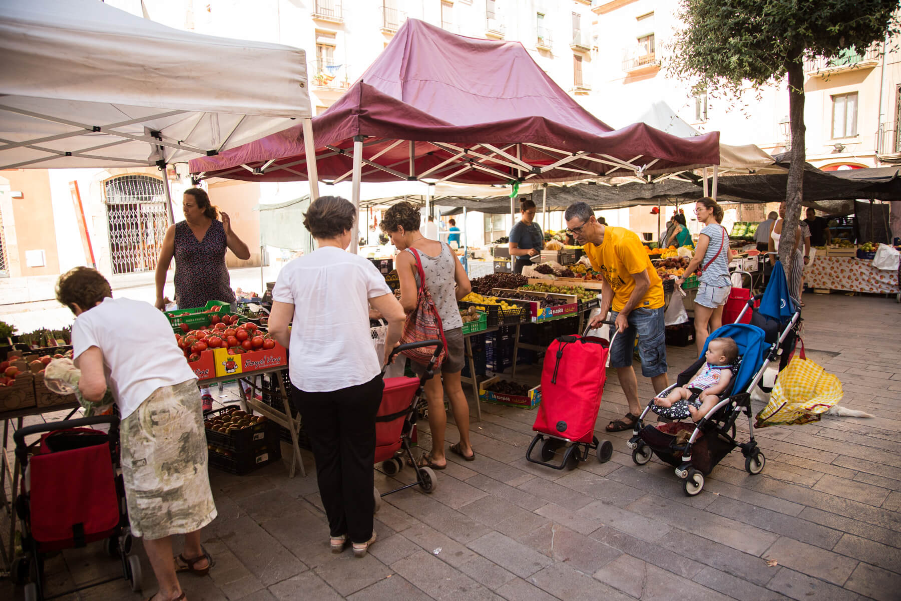 Mercat Fòrum 3